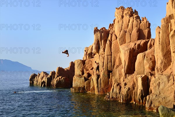 Klipspringer of the red rocks of Arbatax