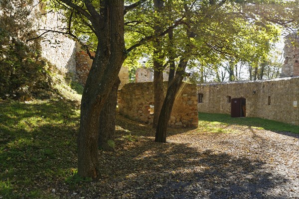 Burgruine Landsee castle ruins