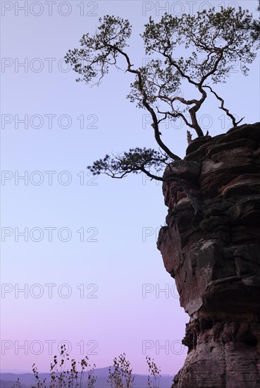 Silhouette of Lammerfelsen