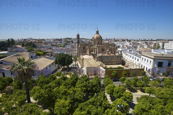 Cathedral La Colegiata del Salvador