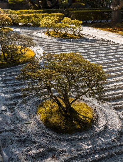 Rock garden