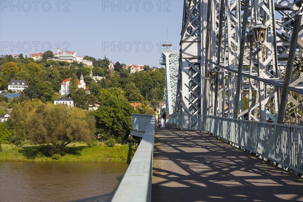 Blue Wonder bridge or Loschwitz Bridge