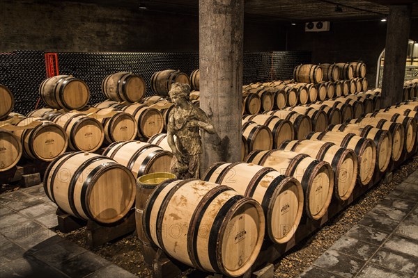 Barrels in the wine cellar of Wine Castle Genoels Edleren