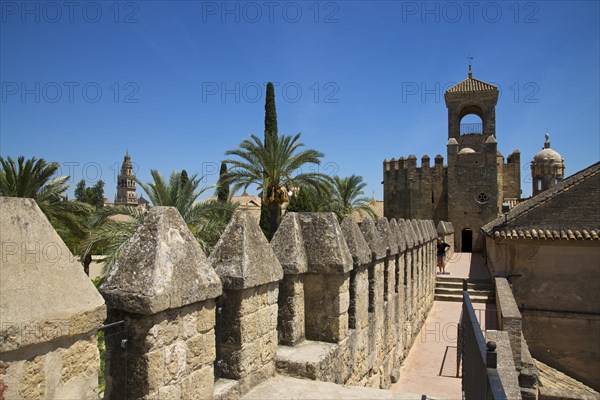 Alcazar de los Reyes Cristianos