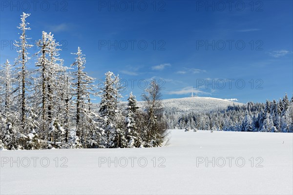 Snow-covered winter landscape