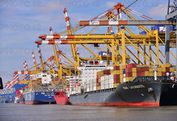 Container ships and gantry cranes