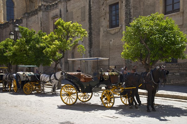 Carriages in the old town