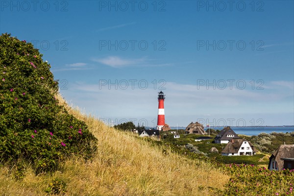 Thatched Frisian houses with lighthouse