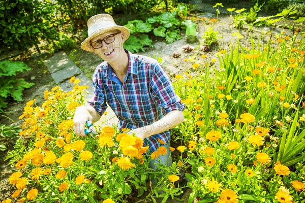 Gardener