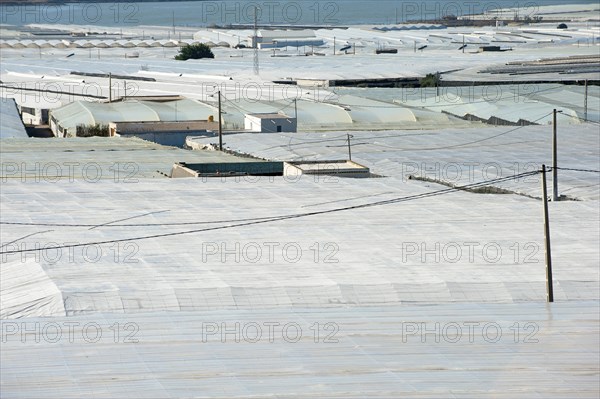 Greenhouses made of white plastic
