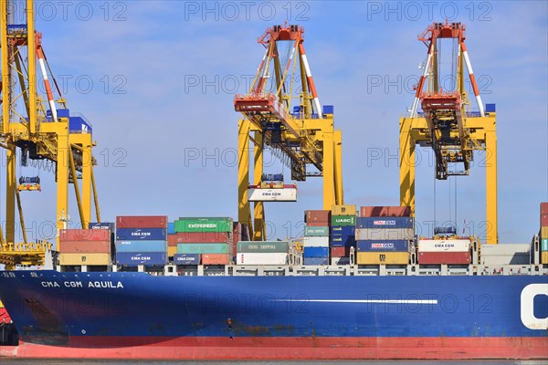 Container ship and gantry cranes