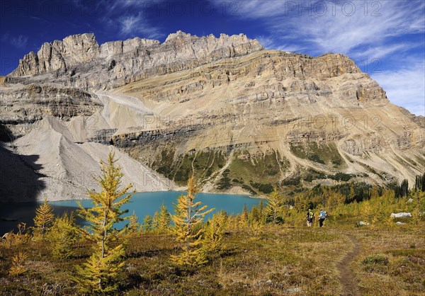 Hike from Lake Louise to Skoki Lodge in the Rocky Mountains