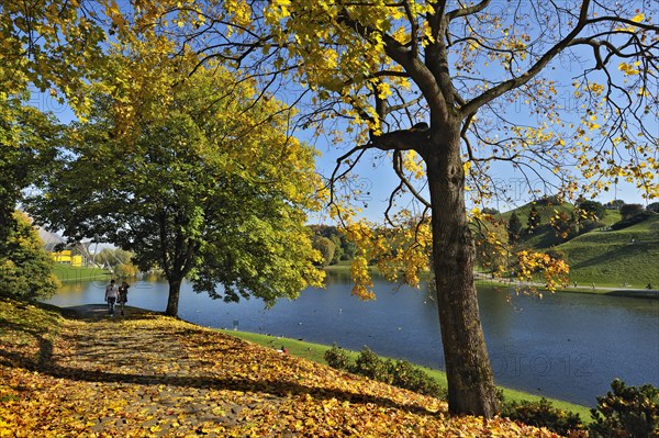 Olympic Park with autumn leaves from a Maple (Acer) and a lake