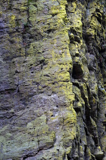 Rocks with lichens at Burgbach Waterfall near Schapbach