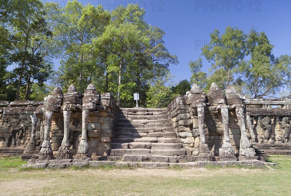 Elephant trunks at the central stairwell of the Terrace of the Elephants