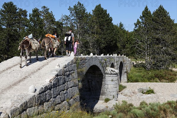 Pont du Tarn