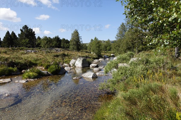 Tarn river