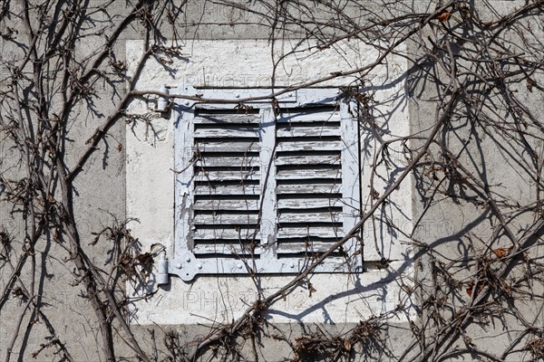 Window with closed shutters