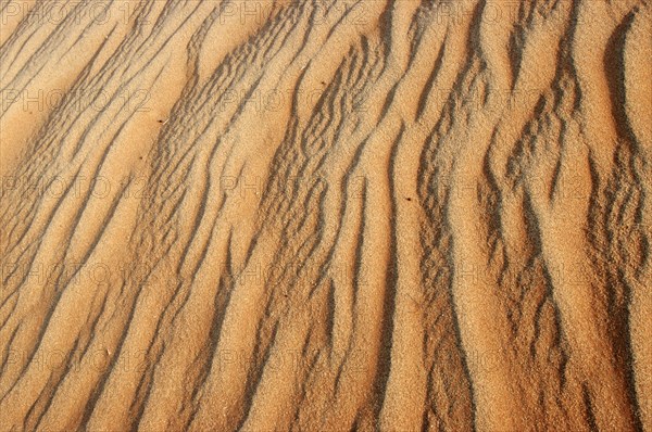 Patterns in the sand