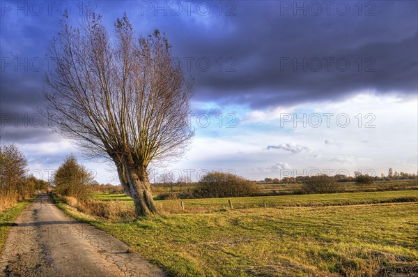 Naturschutzgebiet Kirchwerder Wiesen nature reserve