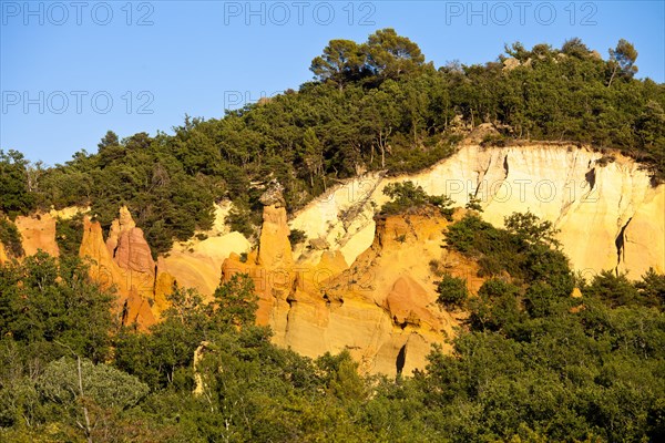 Colorado Provencal