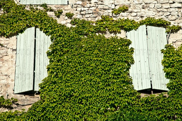 Overgrown facade of a house with shutters closed