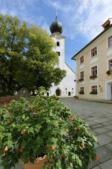 Parish Church of the Assumption