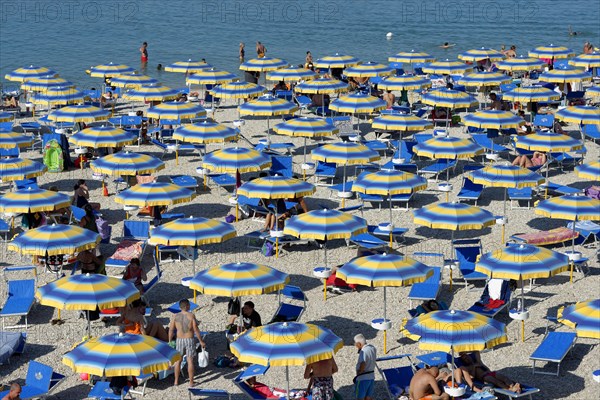 Parasols