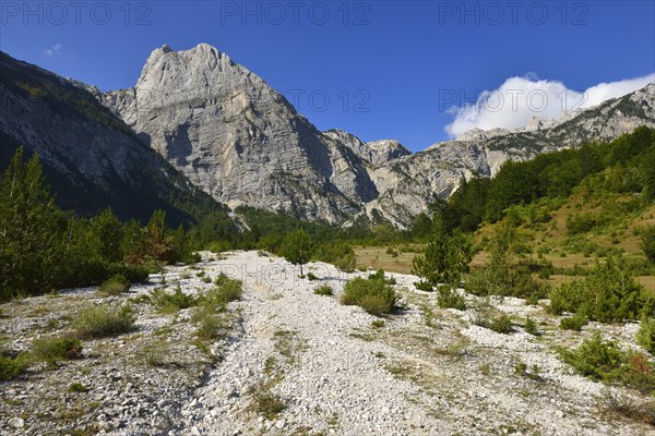 Mount Arapi