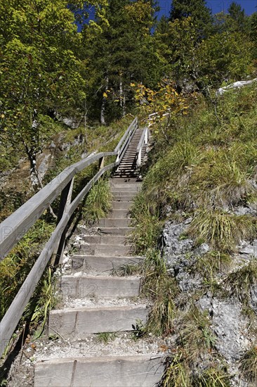 Stairs in the Wasserlochklamm gorge