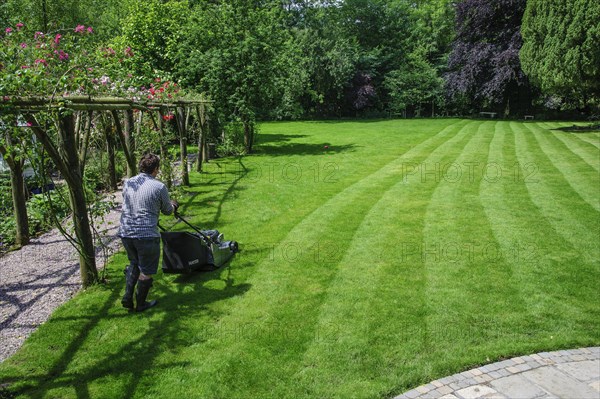 Man mowing garden lawn with rotary lawnmower