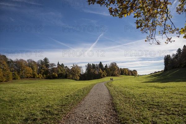 Path across meadows to Andechs