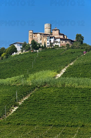 The castle of Castiglione Falletto above vineyards