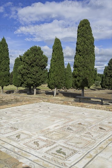 Floor mosaic depicting birds