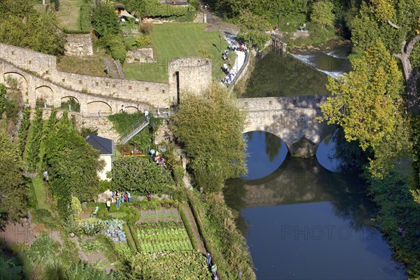 View of the Alzette with gardens