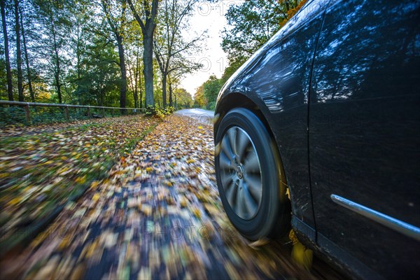 Car driving on a street covered with leaves