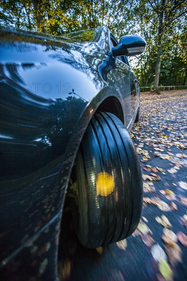 Car driving on a street covered with leaves