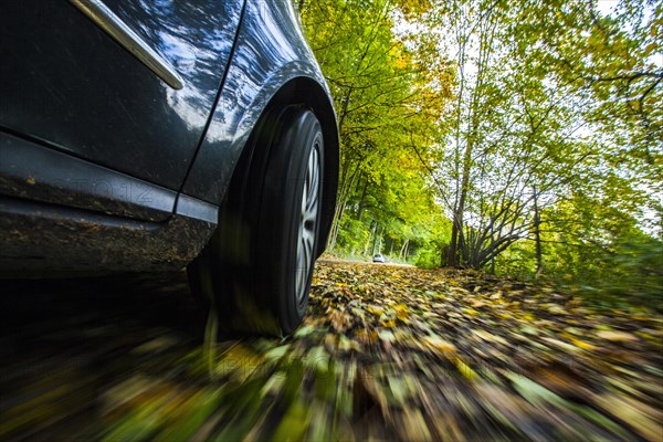 Car driving on a street covered with leaves