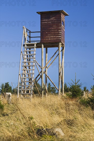 Raised hide near Heiligenborn