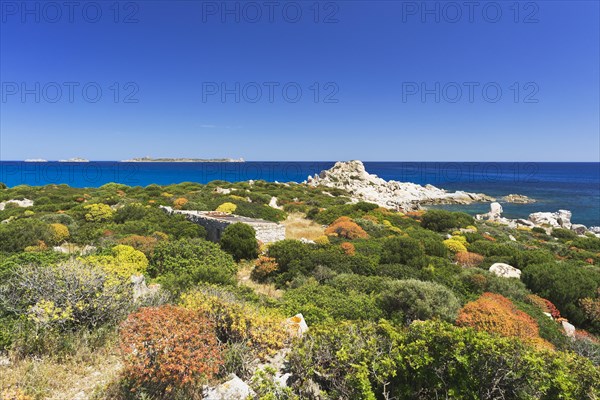 House and Macchia shrubland on the beach of Punta Molentis