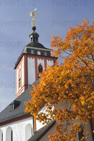 Kroenchen sculpture on the steepletop of Nikolaikirche Church