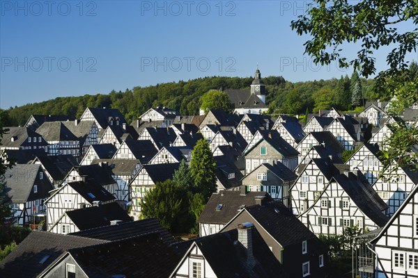 Half-timbered houses