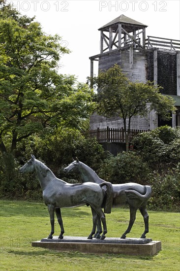 Two horses in a meadow