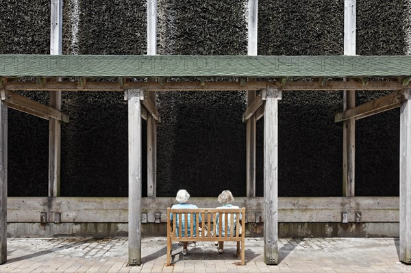 Two seniors sitting in front of a graduation works for the inhalation of salty air