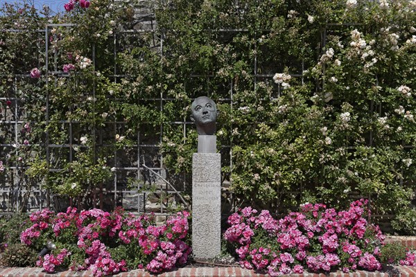 Rose garden with a statue of Christian Dior