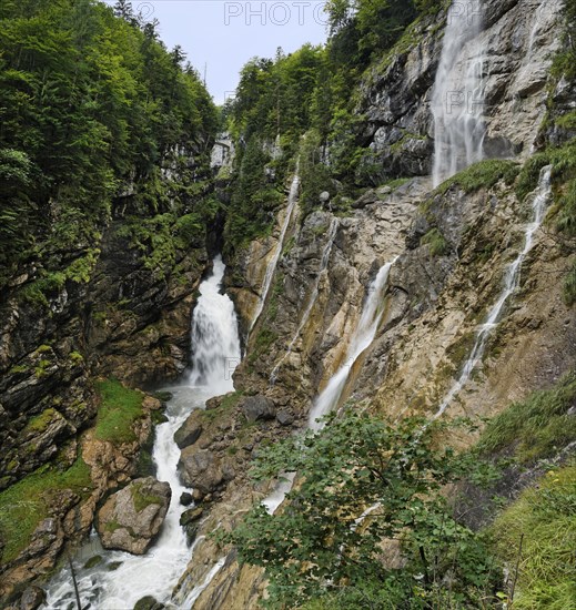 Waldbachstrub gorge