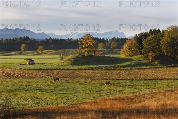 Landscape near the Osterseen lakes in the early morning