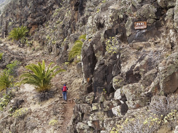 Woman wearing a backpack while hiking along a hiking trail