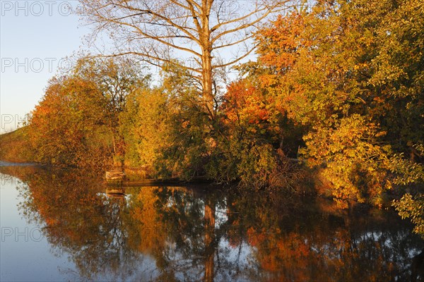 Autumn morning at Huttlerweiher pond