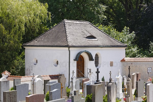 Strauss-crypt